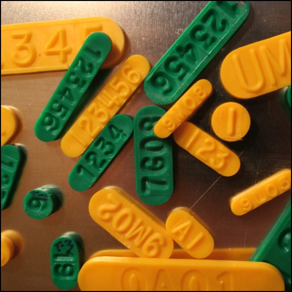 Stacks Image 5